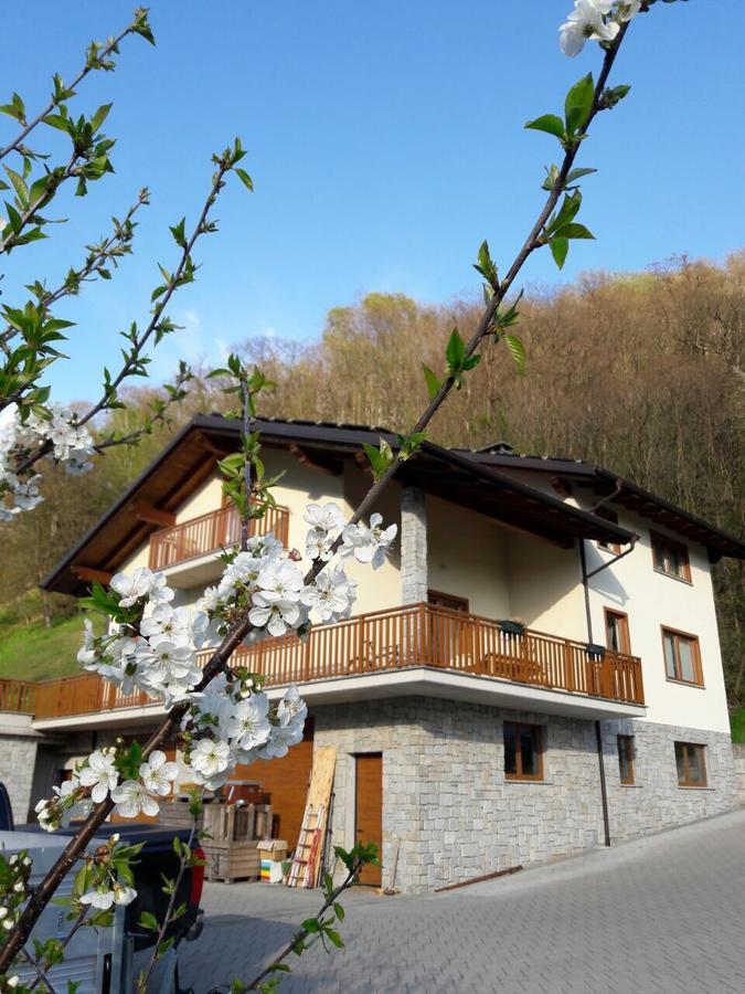 Mortirolo Bed and Breakfast Mazzo di Valtellina Buitenkant foto